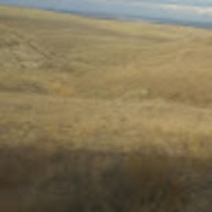 Meet your Posher, Lary larkin